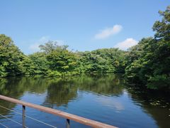 -济州森林小火车生态公园