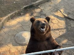 -无锡动物园·太湖欢乐园