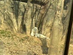 -杭州野生动物世界
