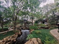 -上海醉白池公园