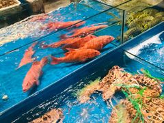 -钱塘宴(东站西子国际店)