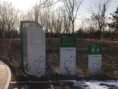 -坝河休闲公园