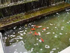 -贞楼食莊