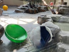 -宁波野生动物园