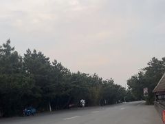-日照海滨国家森林公园