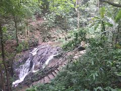 -莫里热带雨林景区