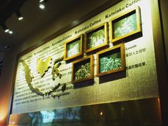 -猫屎咖啡(日月光中心广场店)