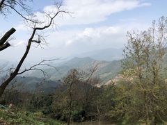 -广州市石门国家森林公园