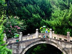-上海醉白池公园