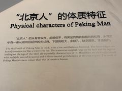 -北京周口店北京人遗址博物馆