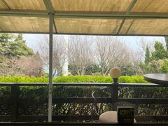-向日葵咖啡