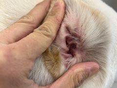 -comecome来吧宠物(奥克斯中心店)