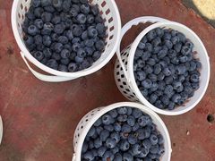 -南坛综合农贸市场