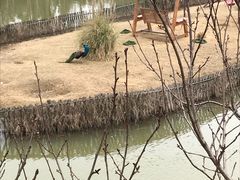 -无锡动物园·太湖欢乐园