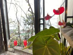 -山城巷传统风貌区