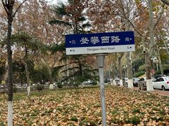 -山东师范大学(千佛山校区)