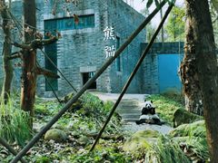 -都江堰中华大熊猫苑