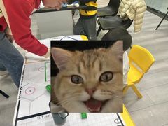 -神奇科学家STEAM科学实验科创赛事机器人编程逻辑思维MadScience(长宁来福士校区)