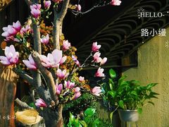 -路小缦·珍馐美馔(市心北路店)