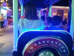 -三亚海昌梦幻海洋不夜城