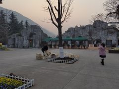 -西安秦岭野生动物园