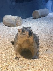 -酷嗒动物文化乐园(cutezoo西溪乐天城店)