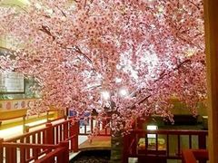 -大江户·温泉洗浴(浑南店)