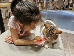 -小时光咖啡馆(开森度假森林店)
