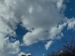 -牛背梁国家森林公园