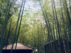 -宝岩生态观光园