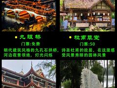 -成都大熊猫繁育研究基地