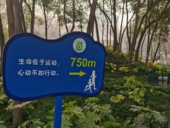 -西安市长乐公园