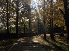 -阳台山自然风景区