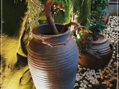 -王荣法仓前羊锅