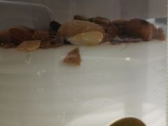 -勒甜LO CHO·私人订制低糖代糖纯动物奶油生日蛋糕(新开路店)
