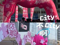 -金茂览秀城