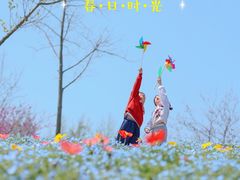 -上海辰山植物园