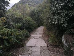 -杭州半山国家森林公园