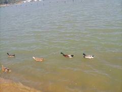 景点-南海子公园