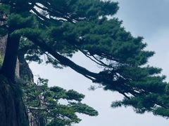 -东坡赤壁风景名胜区