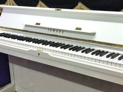 -弘智卉艺术教育/高端琴房(中央音乐学院店)