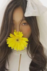 -金夫人婚纱摄影(总店)