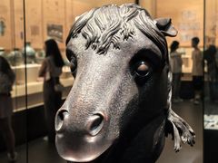 -广西壮族自治区博物馆