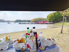 -上海海湾国家森林公园