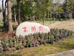 -上海滨江森林公园