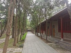 -洛阳白马寺