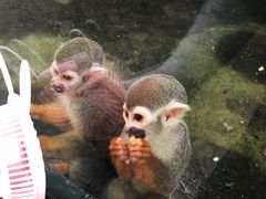 -无锡动物园·太湖欢乐园