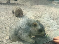 -哈尔滨北方森林动物园
