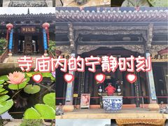 -真庆观