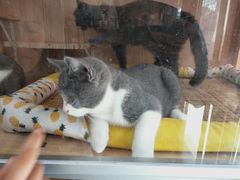 -小小班私人影院·猫咖(万达茂广场店)